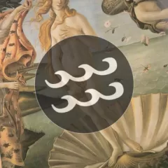 Descubre el impacto de Venus en Acuario en tu vida amorosa