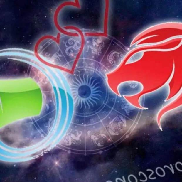 Compatibilidad entre Acuario y Leo en el amor - Anna Casas