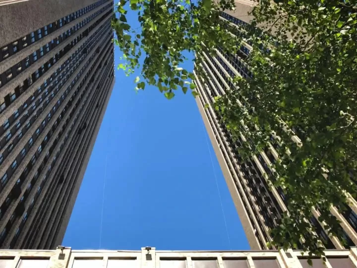 as de bastos en el amor