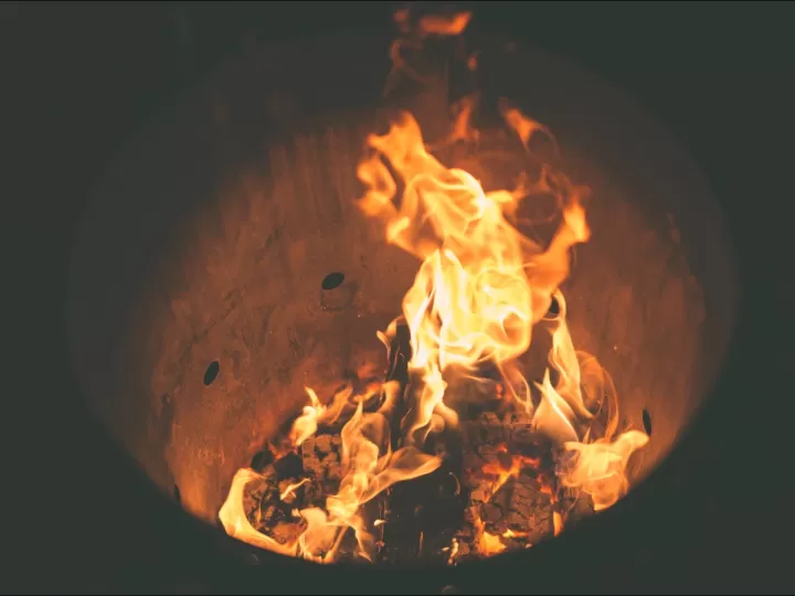 carlo padial contenido