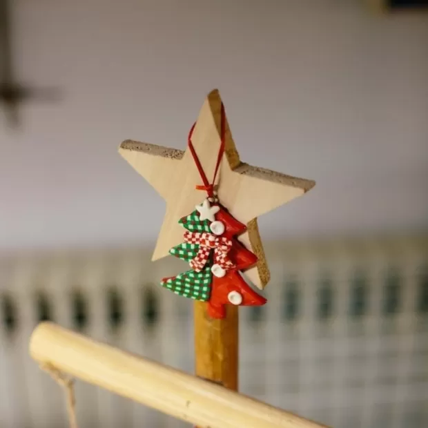 colgante estrella plata