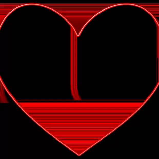corazon espinado libro