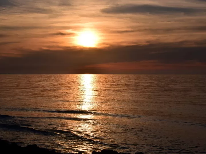 destete alba padro