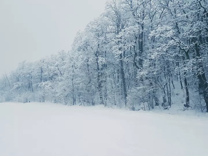 deudas del frio