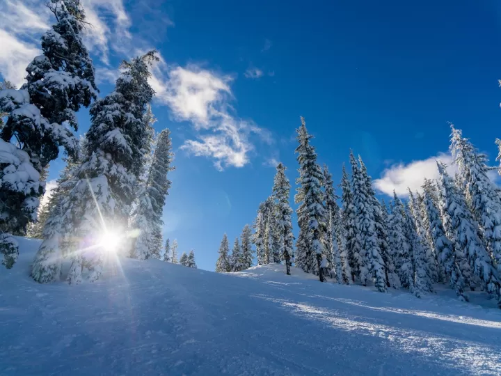 el dia que dejo de nevar en alaska