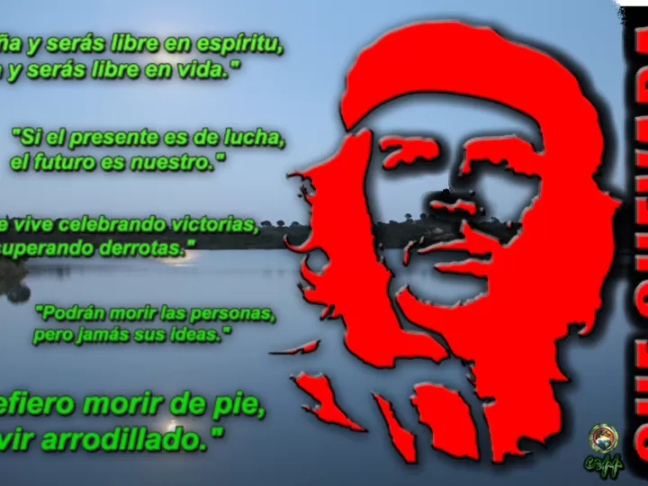 el proyecto de mi vida
