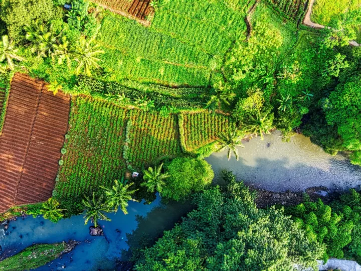 en la tierra somos fugazmente grandiosos