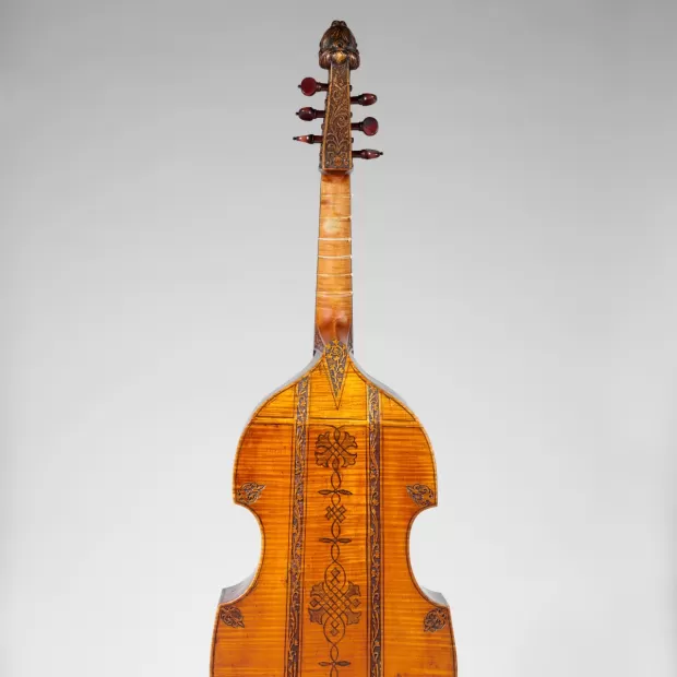 la decision viola ardone