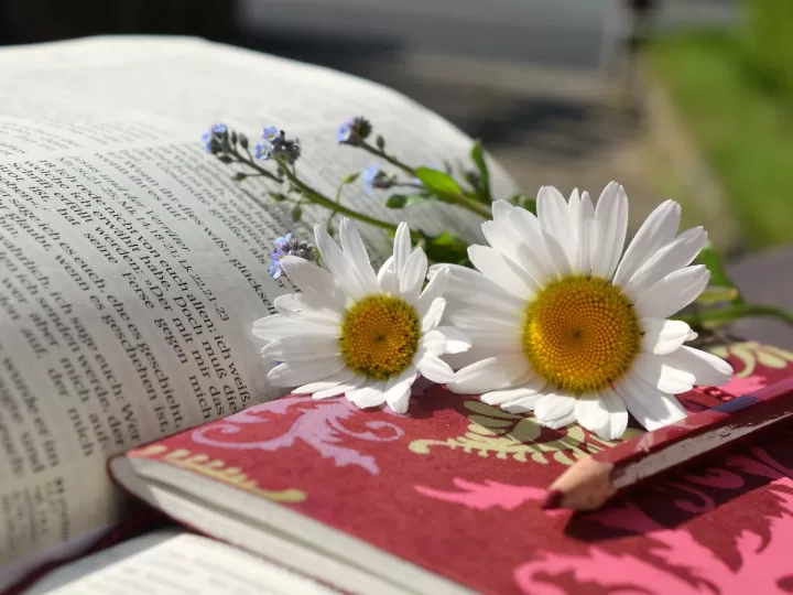 libro la palabra exacta