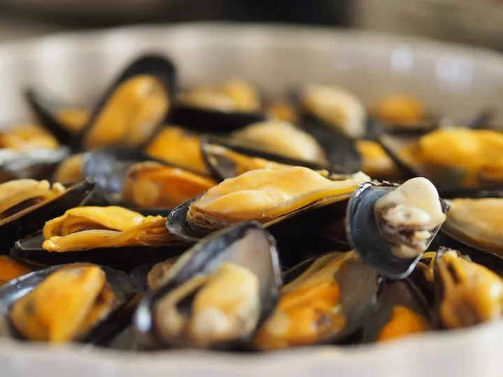 mil millones de mejillones