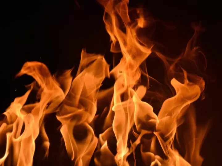 palido fuego