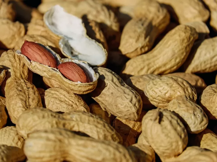 peanut jones 3