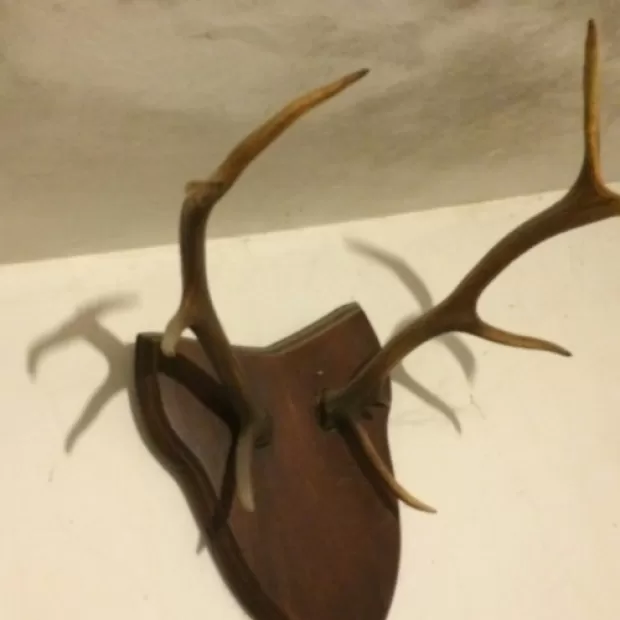 Marque-page En Corne De Cerf – Naturel Et Unique, Fait Main