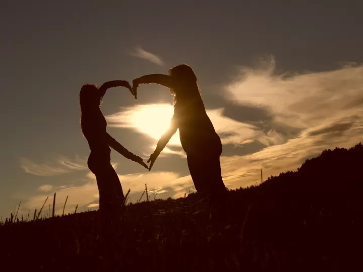 sin amor alice oseman