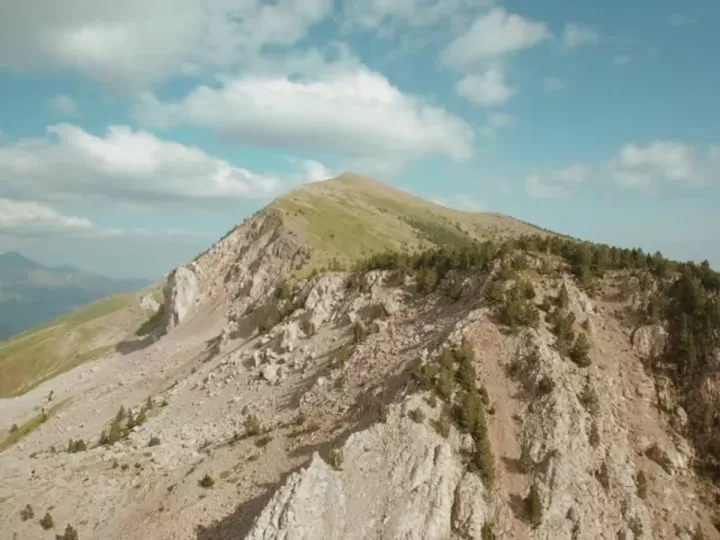 test constitucion 1000 preguntas