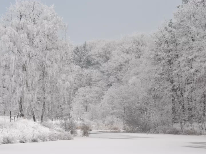 tormenta de nieve y aroma de almendras