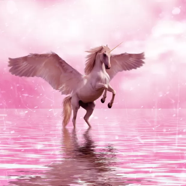 unicornia 5