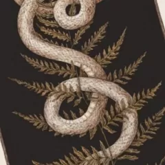 Serpiente en el Tarot: Significado y su influencia en la autoayuda.