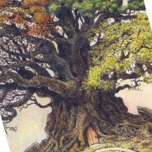 Los árboles en el tarot y sus significados